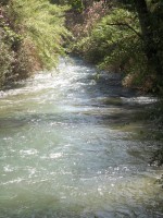 /album/puentes-romanos-isso/a100-4344-jpg/