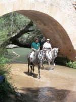 /album/puentes-romanos-isso/a100-4350-jpg/