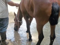 /album/puentes-romanos-isso/a100-4368-jpg/