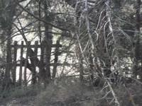 /album/puentes-romanos-isso/a100-4414-jpg/