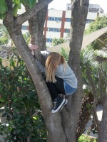 /album/fotos-de-viaje-ceuta-marruecos/a100-6115-jpg/