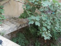 /album/a/a100-4273-jpg/