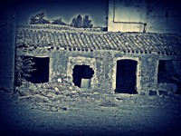 /album/a/a100-4304-jpg/