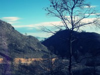 /album/fotogaleria-alrededores-agramon-pantano/a100-5837-jpg/