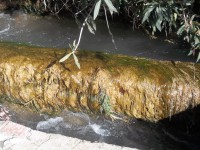 /album/fotogaleria-alrededores-agramon-pantano/a100-5875-jpg/