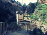 /album/fotogaleria-alrededores-agramon-pantano/a100-5890-jpg/