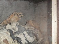 /album/lietor/a100-6223-jpg/