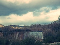 /album/lietor/a100-5929-jpg/