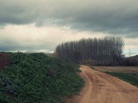 /album/lietor/a100-5942-jpg/