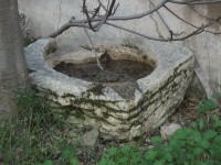 /album/lietor/a100-5974-jpg/