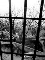 /album/sierra-del-segura/a1534953-578926148864563-1613960545-o-jpg/