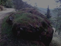 /album/sierra-del-segura/a1913199-578926368864541-865655662-o-jpg/