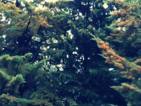 /album/sierra-del-segura/a1799018-578912372199274-247516186-o-jpg/