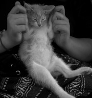 /album/varias-bn-movimiento/a100-4222-jpg/